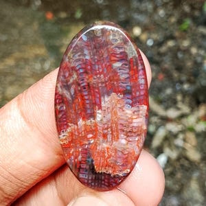 May include: An oval gemstone displaying a complex pattern of red, white, and blue. The polished surface reveals a textured design, reminiscent of organic structures. The stone is held in a hand, highlighting its shape and size. The gemstone is a unique piece.