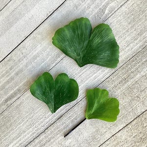Ginkgo hair clip, gingko leaf