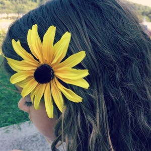 Black eyed Susan, yellow hair flower, hair clip, rudbeckia hair flower image 3