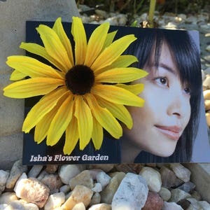 Black eyed Susan, yellow hair flower, hair clip, rudbeckia hair flower image 2