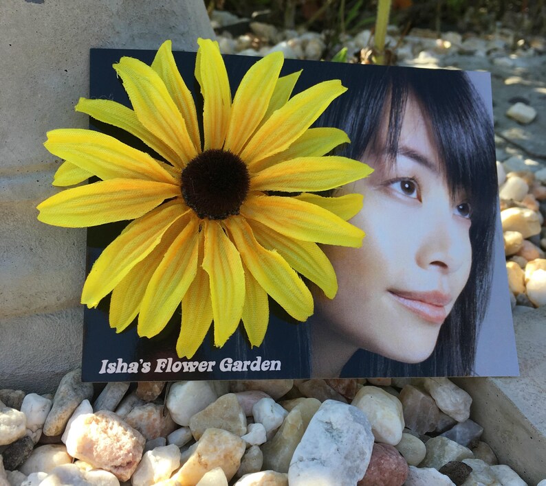 Black eyed Susan, yellow hair flower, hair clip, rudbeckia hair flower image 2