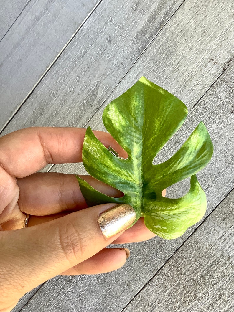 Monstera leaf hair clip, monstera barrette, houseplant barrette image 4