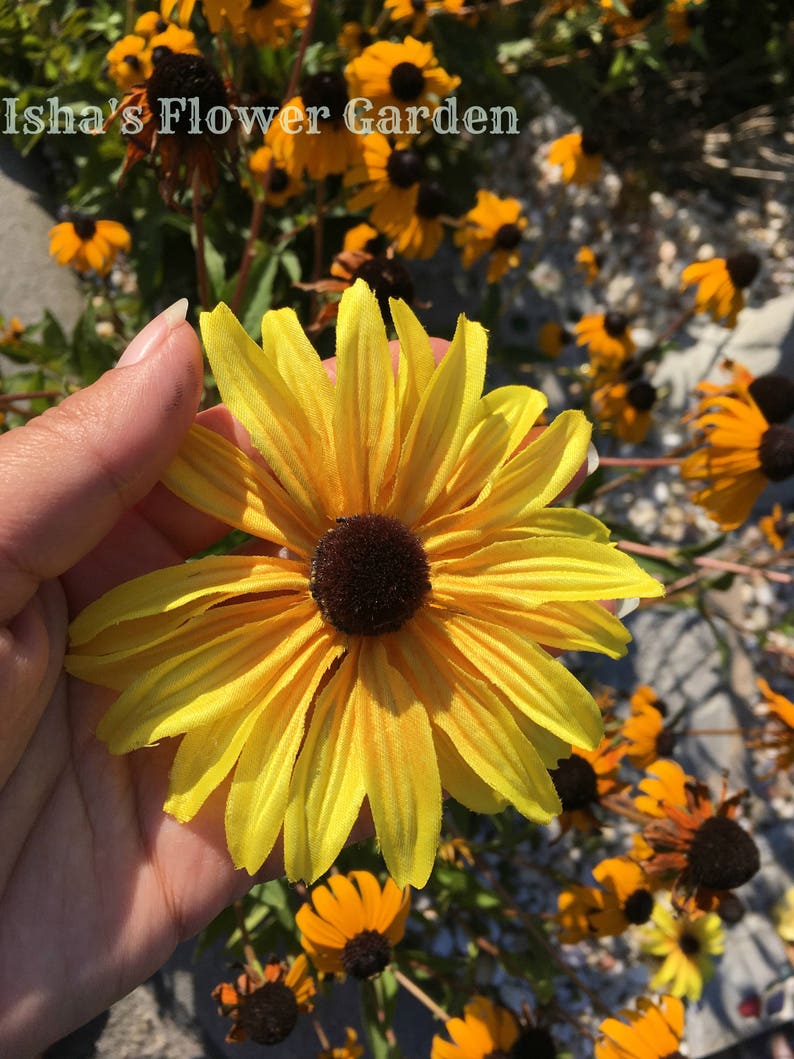 Black eyed Susan, yellow hair flower, hair clip, rudbeckia hair flower image 4