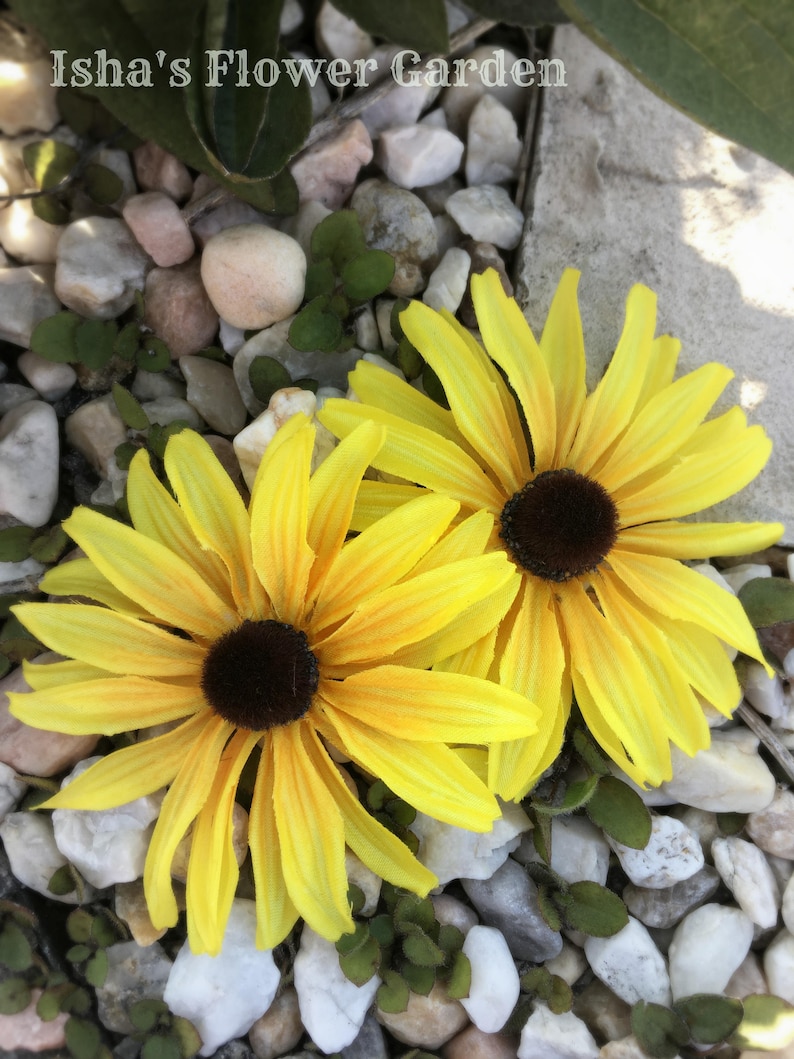 Black eyed Susan, yellow hair flower, hair clip, rudbeckia hair flower image 5