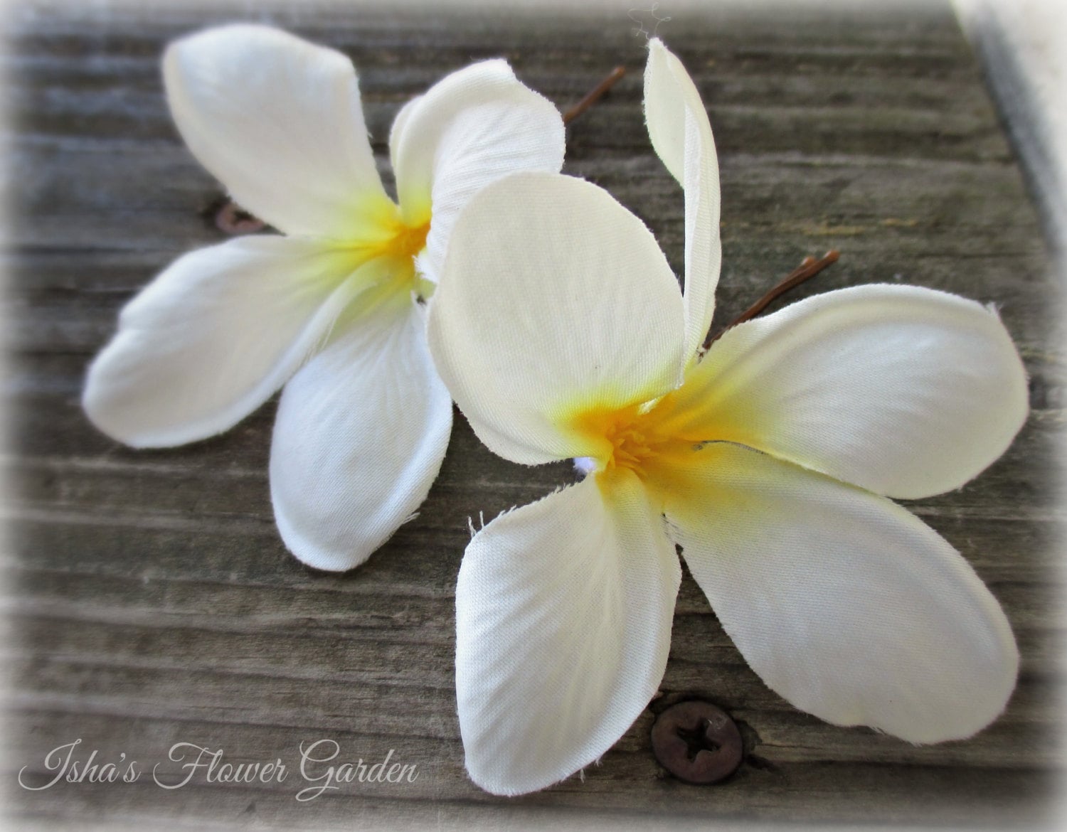 Plumeria hair flower realistic tropical hair flower creamy Etsy