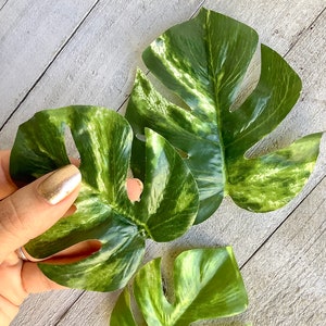 Monstera leaf hair clip, monstera barrette, houseplant barrette image 5