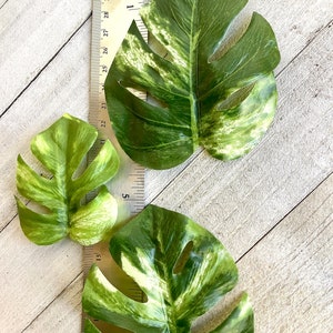 Monstera leaf hair clip, monstera barrette, houseplant barrette image 6