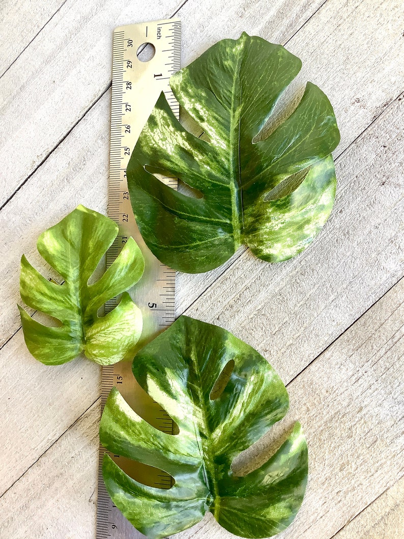 Monstera leaf hair clip, monstera barrette, houseplant barrette image 6