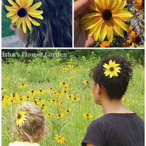 Black eyed Susan, yellow hair flower, hair clip, rudbeckia hair flower image 7