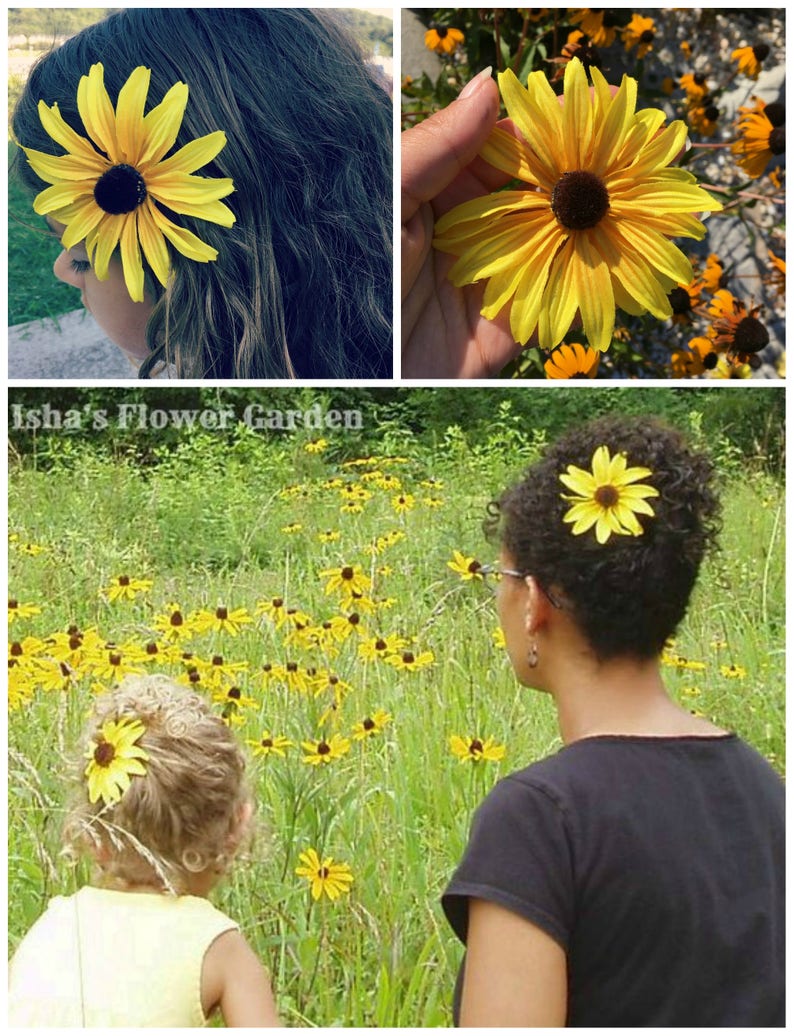 Black eyed Susan, yellow hair flower, hair clip, rudbeckia hair flower image 7