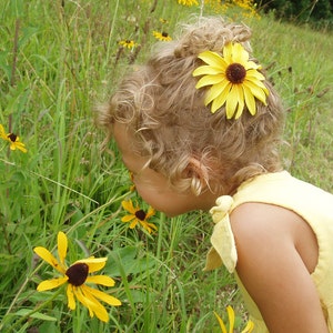 Black eyed Susan, yellow hair flower, hair clip, rudbeckia hair flower image 1