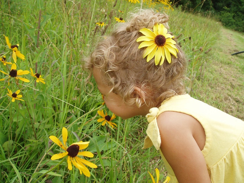 Black eyed Susan, yellow hair flower, hair clip, rudbeckia hair flower image 1