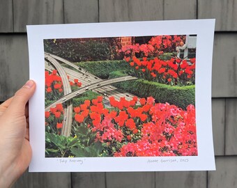 Tulip Freeway - Fine Art Print