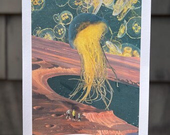 Jellyfish - Fine Art Print