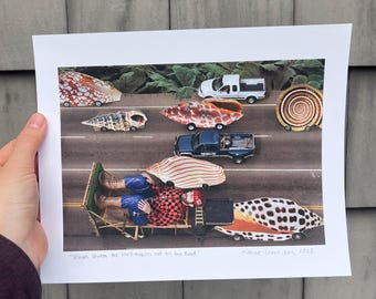 Vroom vroom, the shellmobiles are on the road! Fine Art Print