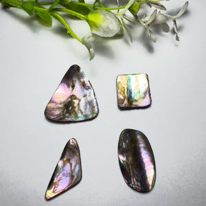 Könnte beinhalten: Vier polierte Abalone-Muschel-Cabochons in verschiedenen Formen, darunter ein Dreieck, ein Quadrat und zwei unregelmäßige Ovale. Jedes Stück zeigt eine natürlich irisierende Oberfläche mit wirbelnden Violett-, Grün- und Blautönen.