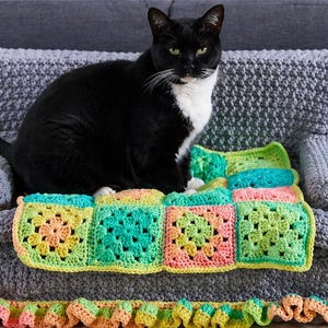 May include: A black and white cat sits on a small gray crocheted sofa with a colorful granny square blanket. The blanket features squares of yellow, green, and pink. The sofa has a ruffled edge in shades of pink, yellow, and orange.