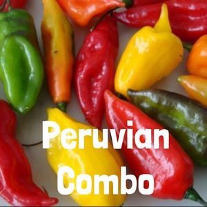 Peruvian Combo 3 pack- Aji Amarillo, Lima, Colorado - Young Healthy Seedlings - Peruvian Heirloom