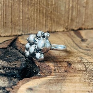 Peut inclure: Une bague argentée composée d'un groupe de sphères lisses et arrondies de tailles variées, disposées en une formation dense et organique. La surface métallique présente une finition polie et réfléchissante qui capte la lumière avec éclat.