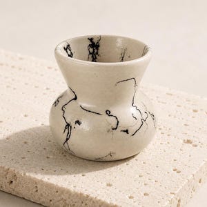 Navajo Pottery Vase Horsehair Ceramic Art Piece Tribal Decoration Southwest Home Accent Vintage Native American Indigenous Craft Traditional