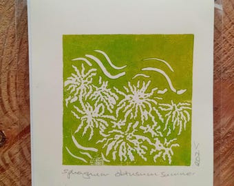 Analogish Sphagnum Obtusum Green Print