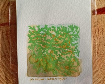 Analogish Fruticose Lichen Original A6 Lino Print (Light Green)