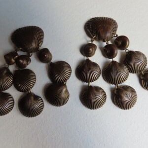 Shell earrings