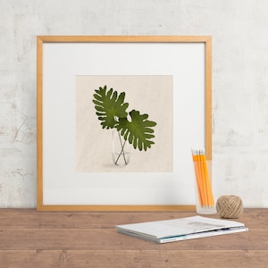 Lacy Tree Philodendron Leaves in Vase - Digital Download