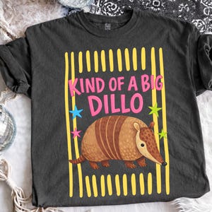 May include: A charcoal gray crew neck t-shirt featuring a graphic of a brown armadillo centered between vertical yellow stripes. The text "KIND OF A BIG DILLO" is printed in pink above the armadillo, accented by small blue, green, and pink stars.