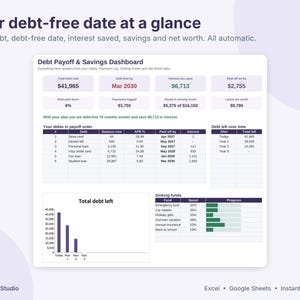 Debt Payoff Tracker Spreadsheet, Snowball and Avalanche Calculator, Sinking Funds & Savings Tracker, Net Worth, Excel Google Sheets image 2
