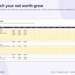 Debt Payoff Tracker Spreadsheet, Snowball and Avalanche Calculator, Sinking Funds & Savings Tracker, Net Worth, Excel Google Sheets image 8