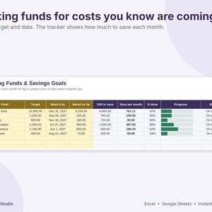 Debt Payoff Tracker Spreadsheet, Snowball and Avalanche Calculator, Sinking Funds & Savings Tracker, Net Worth, Excel Google Sheets image 7