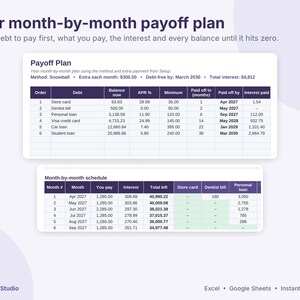 Debt Payoff Tracker Spreadsheet, Snowball and Avalanche Calculator, Sinking Funds & Savings Tracker, Net Worth, Excel Google Sheets image 5