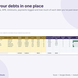 Debt Payoff Tracker Spreadsheet, Snowball and Avalanche Calculator, Sinking Funds & Savings Tracker, Net Worth, Excel Google Sheets image 6