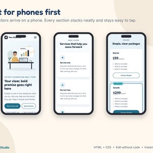 Website Template for Small Business, One Page Landing Page, Coach Website, HTML CSS Template, Edit Without Code, 3 Themes image 5