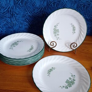 May include: White dinner plates with a green ivy leaf design and green trim. The plates have a swirl pattern around the edges. A stack of plates is visible, along with two plates on a metal stand and one plate on a wooden surface.