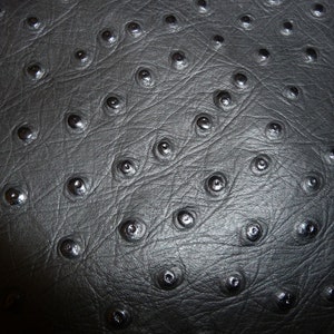 Piel de vacuno repujada negra de avestruz de 30 x 30 cm, 1 mm (2,5 oz) PeggySueAlso® E2870-15