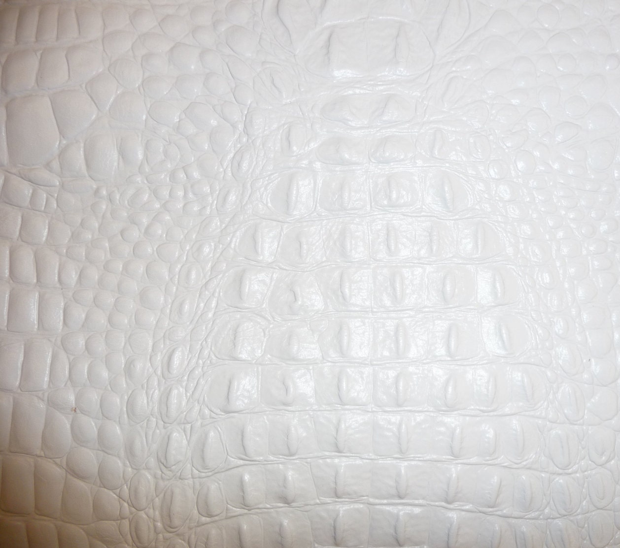 Leather 8"x10" Alligator/ Crocodile  WHITE  embossed Cowhid…