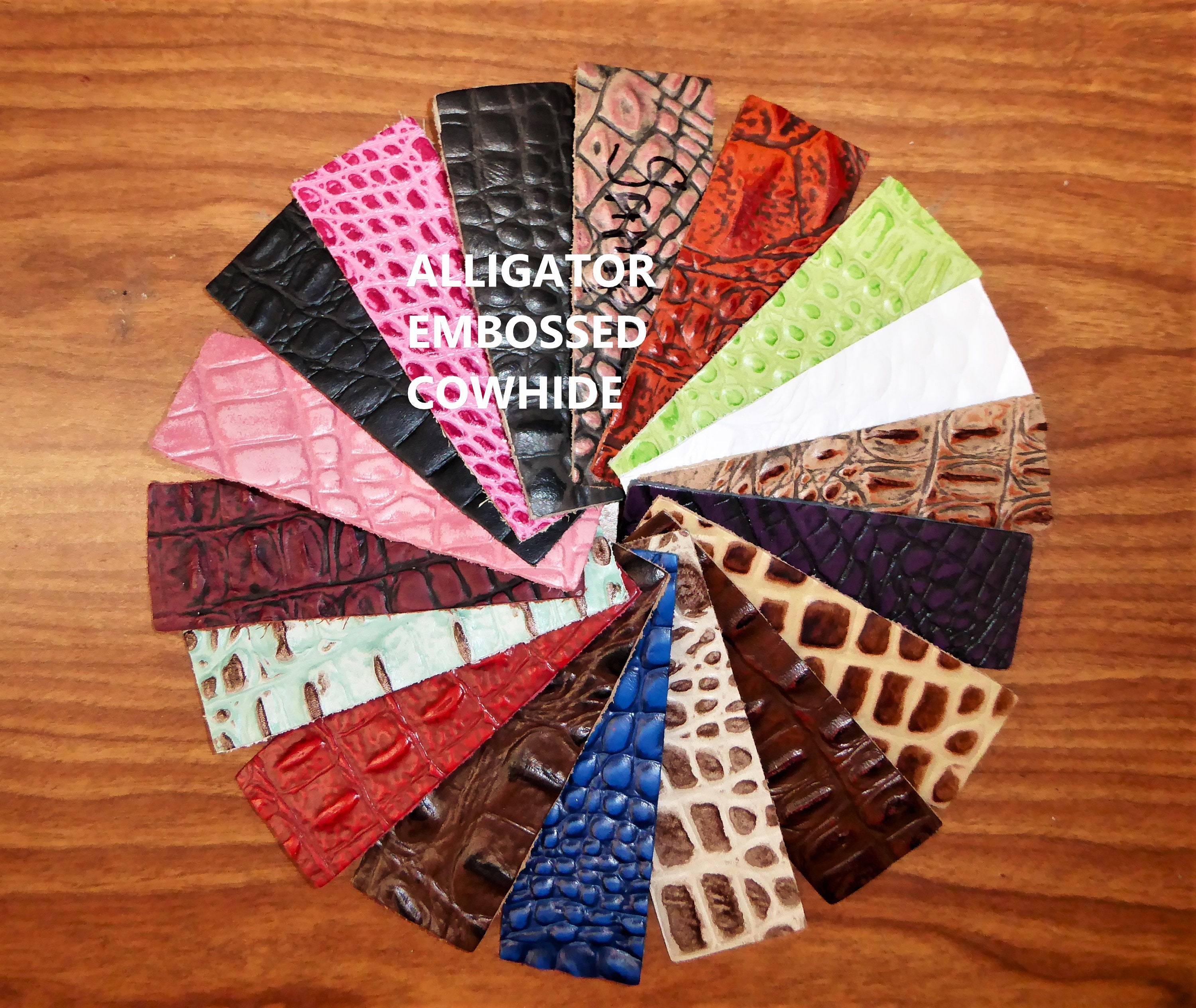 「Seeing Visions」 Buy Closeout Alligator 8