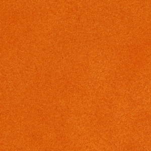 May include: A close-up of a textured orange surface. The surface has a grainy, rough texture.