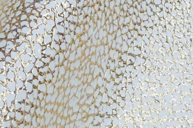 Leather 8"x10" Mini DINOSAUR Print GOLD Metallic on White E…
