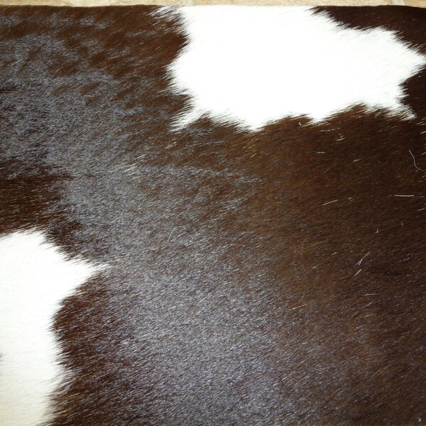 8"x10" Very Dark Brown hair with white Leather Cowhide from PeggySueAlso