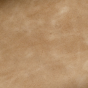 May include: Close-up of a light brown leather texture with a grainy surface.