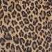 see more listings in the LEOPARD/CHEETAH section