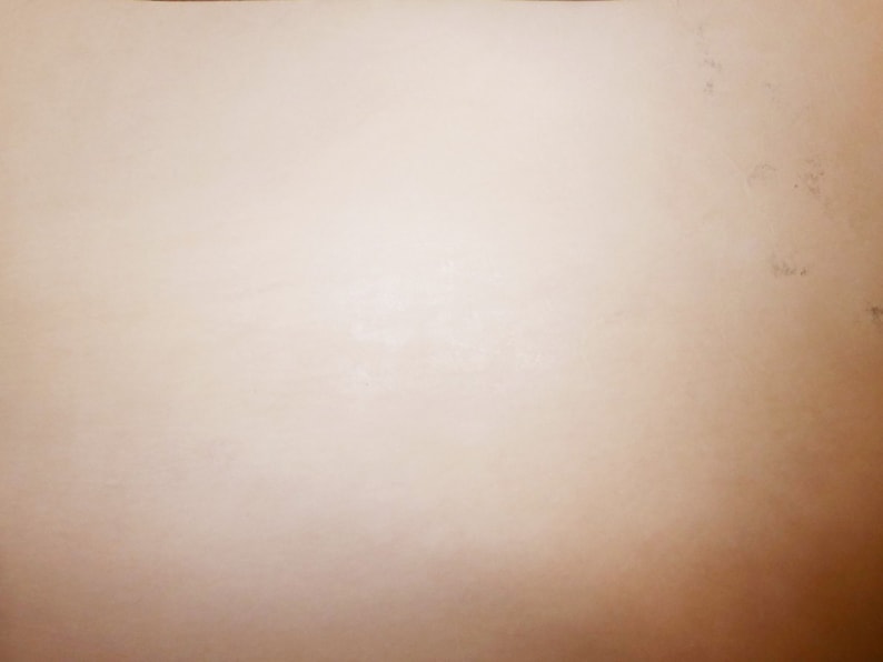 May include: A plain, off-white wall with a slightly textured surface. The wall is free of any visible markings or imperfections.