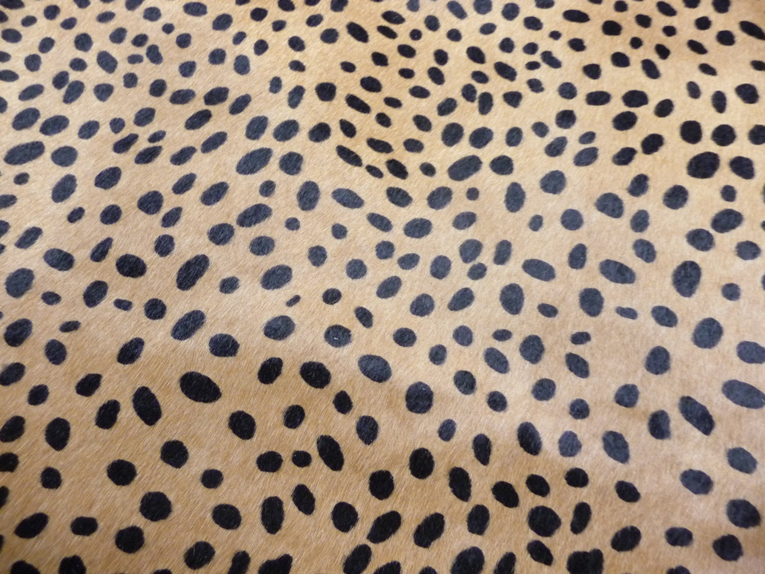 Hair On Leather 12"x12" Camel Tan wild CHEETAH with Black S…