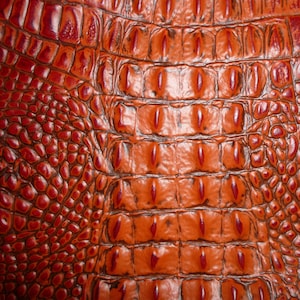 CAIMÁN 5" x 11" NARANJA QUEMADO Cuero de vaca con relieve de cocodrilo/caimán 2,75-3 oz/1,1 - 1,2 mm PeggySueTambién hay disponibles pieles E2860-02