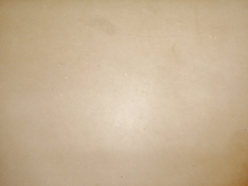 May include: A plain, off-white background with a subtle, even texture.