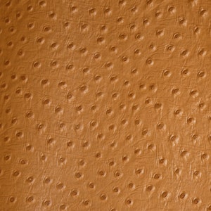 May include: Close-up of a brown textured fabric with a pattern of small, raised dots. The fabric has a subtle sheen and a soft, supple feel.
