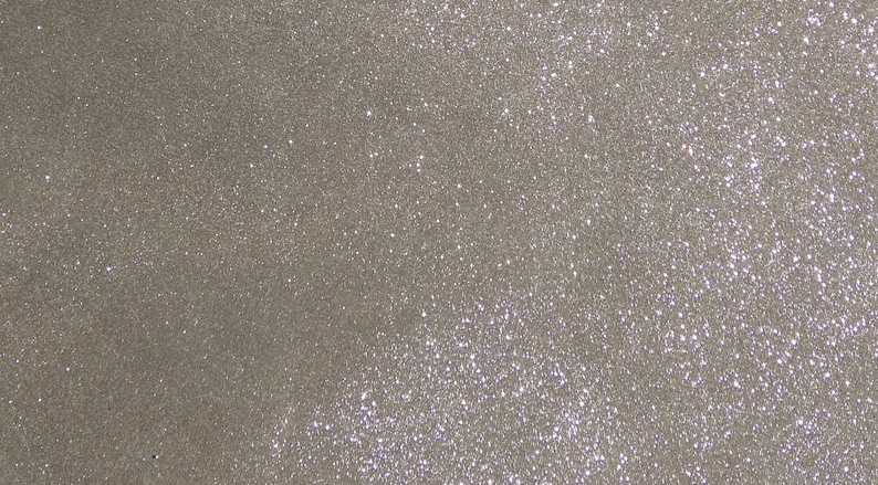 May include: A close-up of a sparkly, silver glitter background.